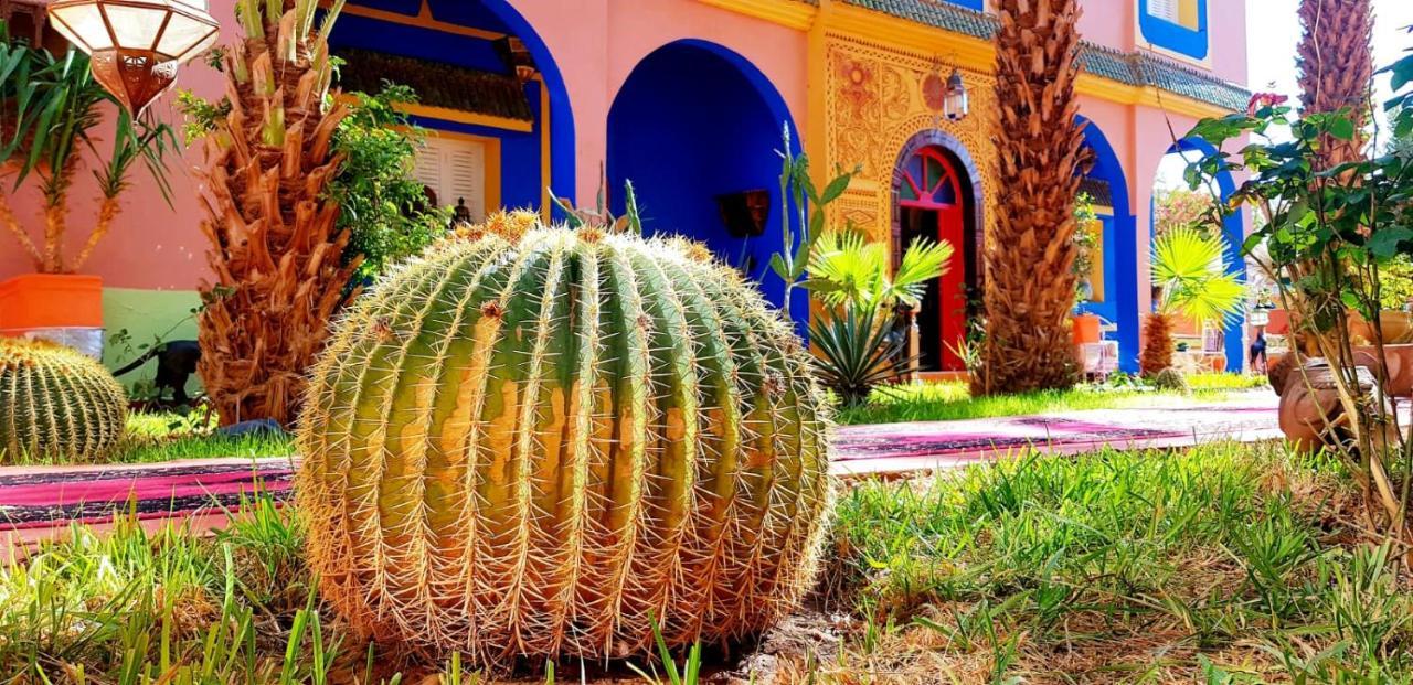 Riad Jasmine Sud Zakura Zewnętrze zdjęcie